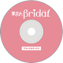 �u���C�_���f�B�X�N