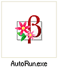 autorun�t�@�C���̃A�C�R��