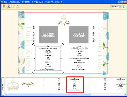 ���ʃE�B���h�E�i�v���t�B�[���j