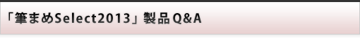 i Q&A :M܂Select2013