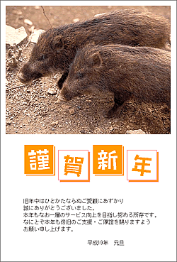 ���ʃf�U�C�����{�i�t�`����̏ꍇ�j