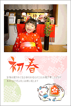 ���ʃf�U�C�����{�i�t�`����̏ꍇ�j