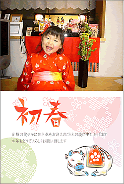 ���ʃf�U�C�����{�i�t�`�Ȃ��̏ꍇ�j