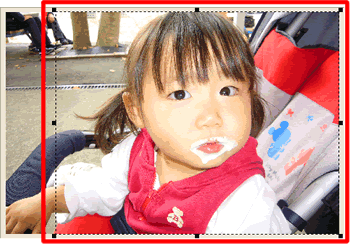 範囲選択変更後の画像 範囲選択変更後の画像