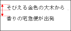 �����T���v��