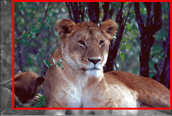 �C���[�W�g���ɕ\�����������������������摜