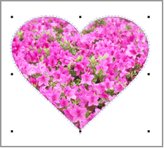 �؂蔲����̉摜�T���v��1