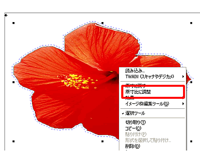 �摜���E�N���b�N���m������ɒ����n���N���b�N����摜